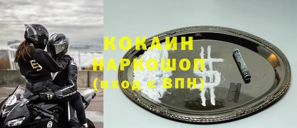 крисы Абаза