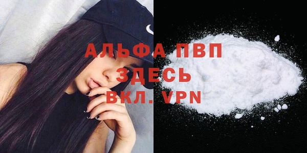 крисы Абаза
